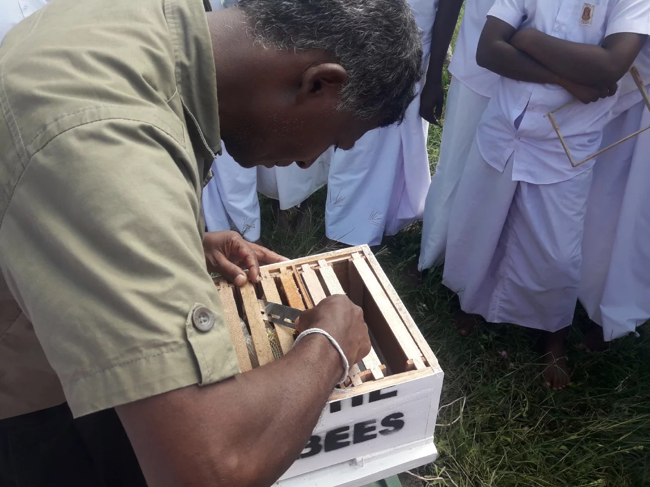 Honey Fencing and Bee Farming Project – mahawelimahaviharaya.org